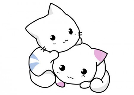 Me me Cats XD