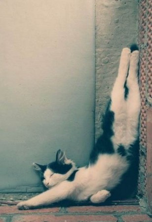 I'm Chilling...