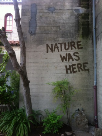 Nature Was Here Bitches! Be Carefull