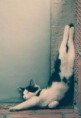 /album/photogallery/img1498981543-jpeg/